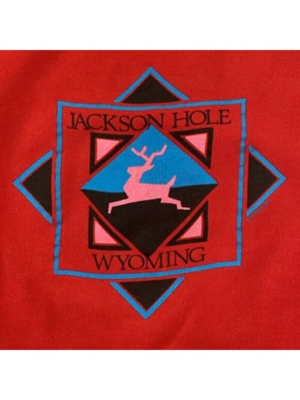 RARE VTG Pannill Jackson Hole Wyoming Graphic Sweatshirt Red Crew USA 80s XL